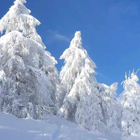 Sonnenheim Und Garni 3*