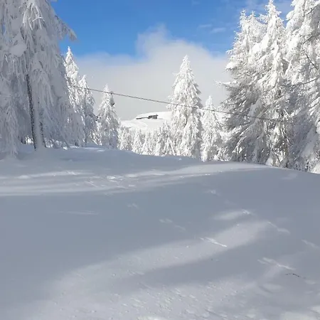 فندق Sonnenheim Und Garni 3*