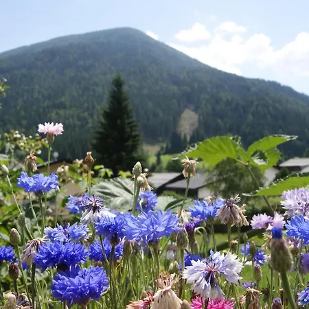 Sonnenheim Und Garni باد كلينكيرشهايم