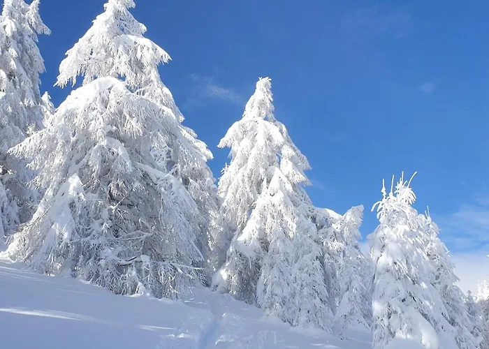 Sonnenheim Und Garni 3*