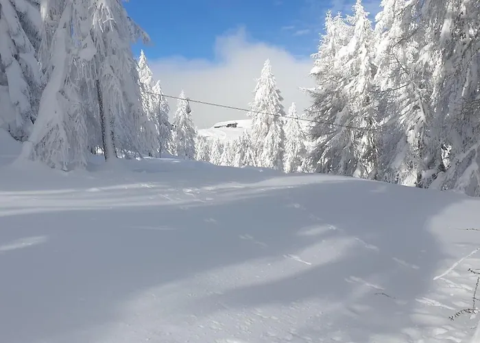 Hotel Sonnenheim Und Garni 3*