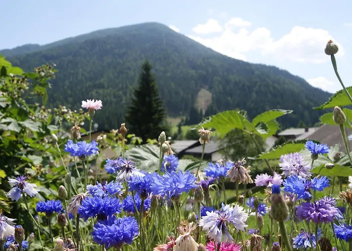 Sonnenheim Und Garni Bad Kleinkirchheim